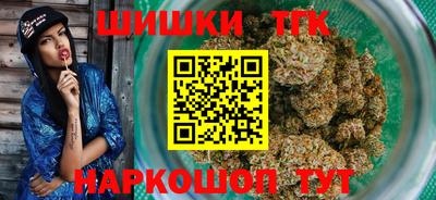 индика Дубна