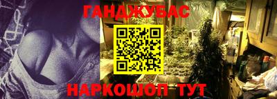 индика Дубна