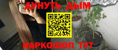 индика Дубна