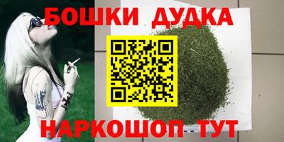 индика Дубна