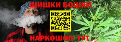 индика Дубна