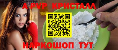 индика Дубна