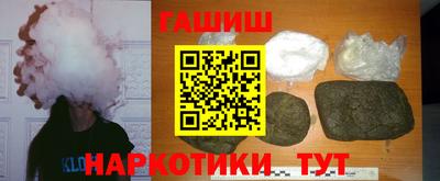индика Дубна
