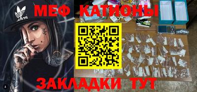 индика Дубна