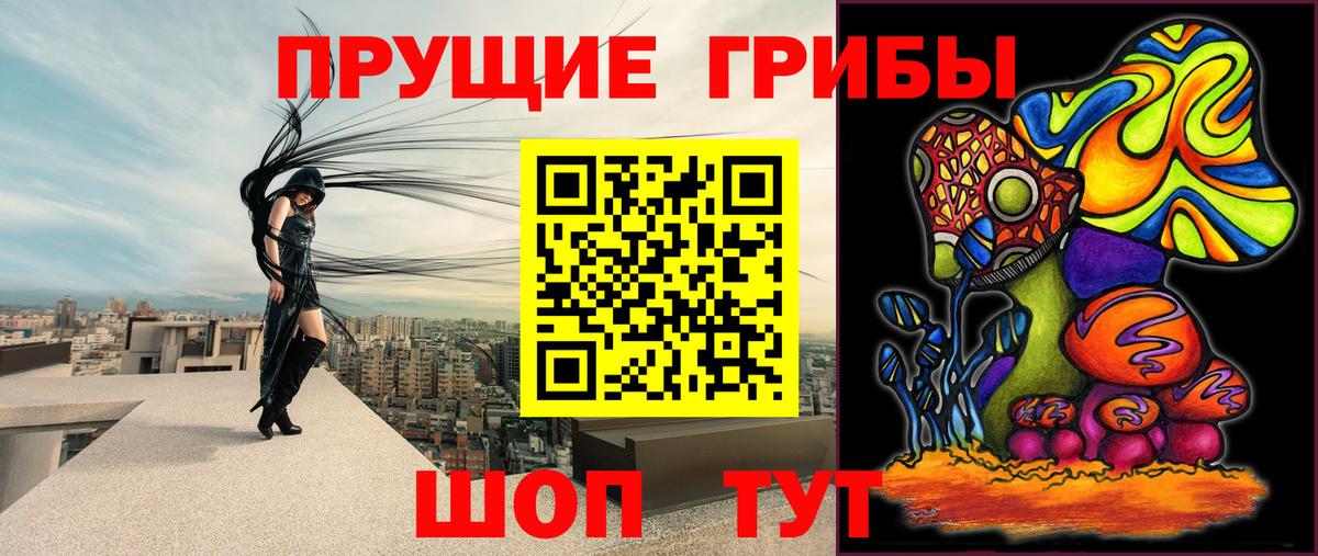 Галлюциногенные грибы GOLDEN TEACHER  Вход с VPN  Муром 